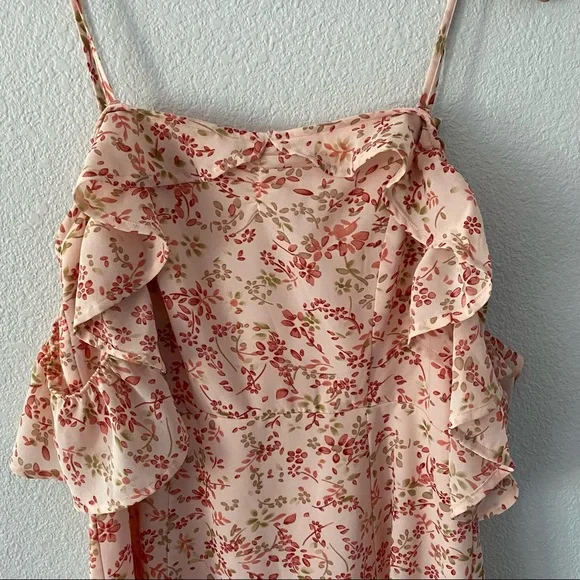 For Love & Lemons Floral Ruffle Mini Dress — Blush with Red Print - Picture 6 of 6